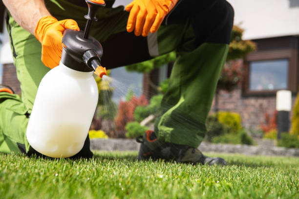 Best Ant Control Services  in Hudson, MI