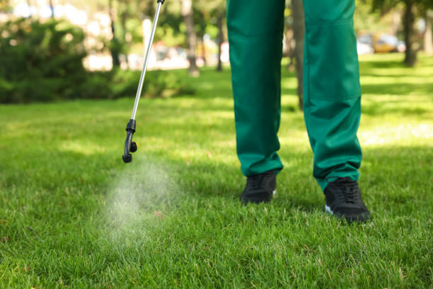 Best Wasp Removal Services  in Hudson, MI