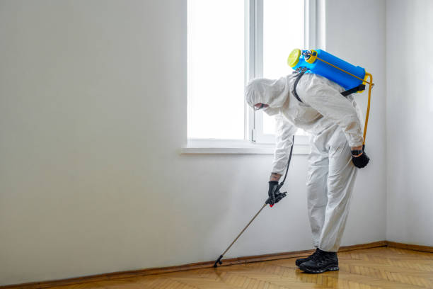 Best Best Pest Control Companies  in Hudson, MI