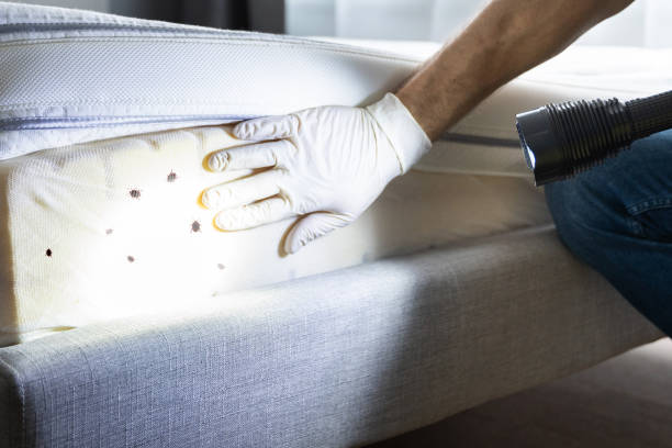 Best Residential Pest Control  in Hudson, MI