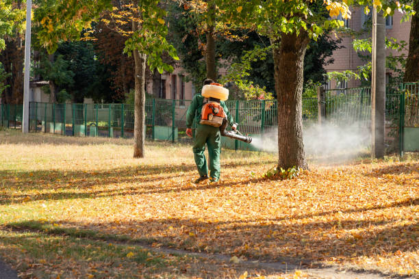 Best Pest Inspection Near Me  in Hudson, MI