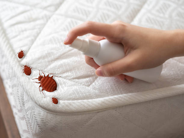 Best Pest Removal Services  in Hudson, MI