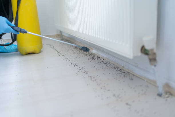 Best Best Pest Control Companies  in Hudson, MI