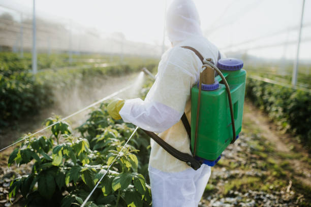 Best Affordable Pest Control Services  in Hudson, MI